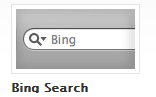 Safari Bing search