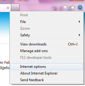 IE9 settings menu