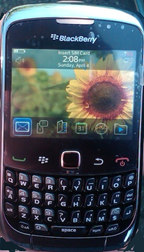 BlackBerry Curve 9300