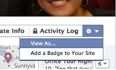 Facebook Timeline View As