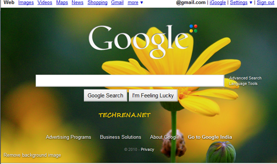 Google homepage with background image