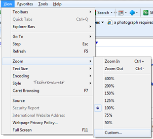 Internet Explorer zoom levels