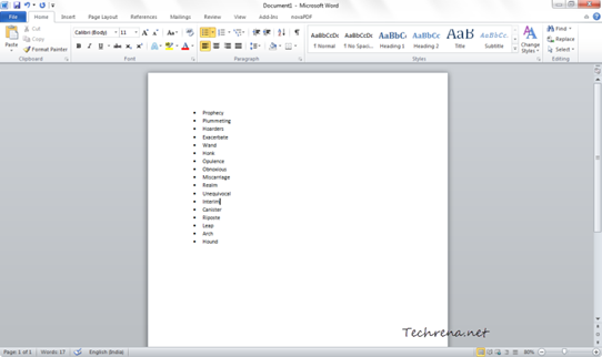 List in Microsoft Word 2010