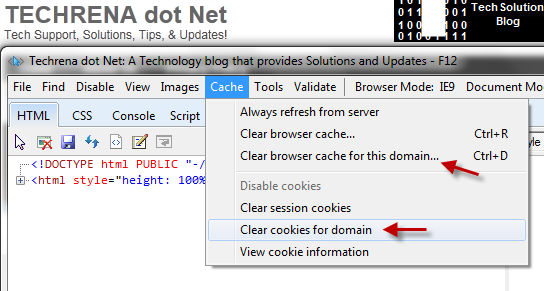 Clear cookies and cache for this domain in IE9